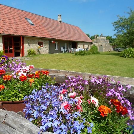 Ansumardi Farmstay Kavandi Exteriör bild