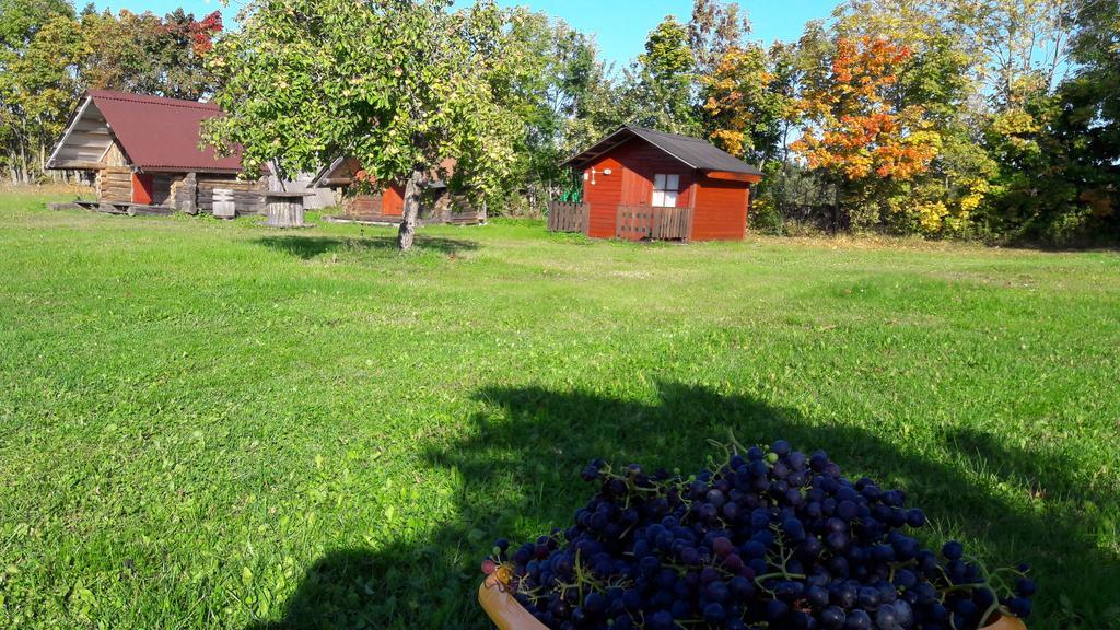 Ansumardi Farmstay Kavandi Exteriör bild